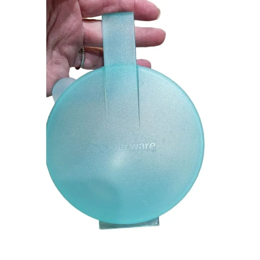 Tupperware Forget Me Not Large Hanging Tomato Onion Keeper Aqua #4201